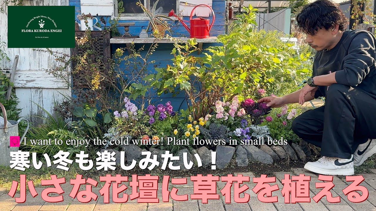 寒い冬も楽しみたい！／小さな花壇に草花を植える！【冬のガーデニング】-フローラ黒田園芸- Winter gardening/ガーデニング　園芸　花壇