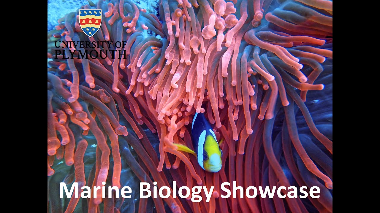 Marine Biology Showcase