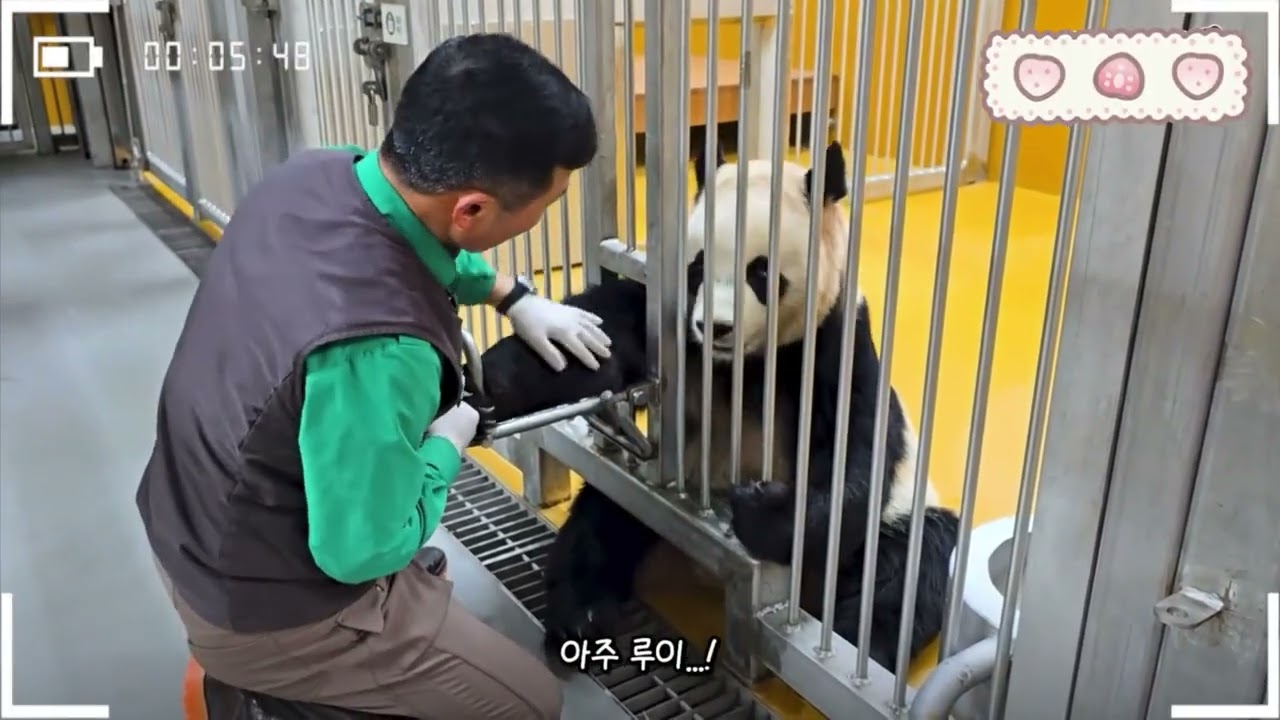 完全能听懂姜爷爷的驱赶