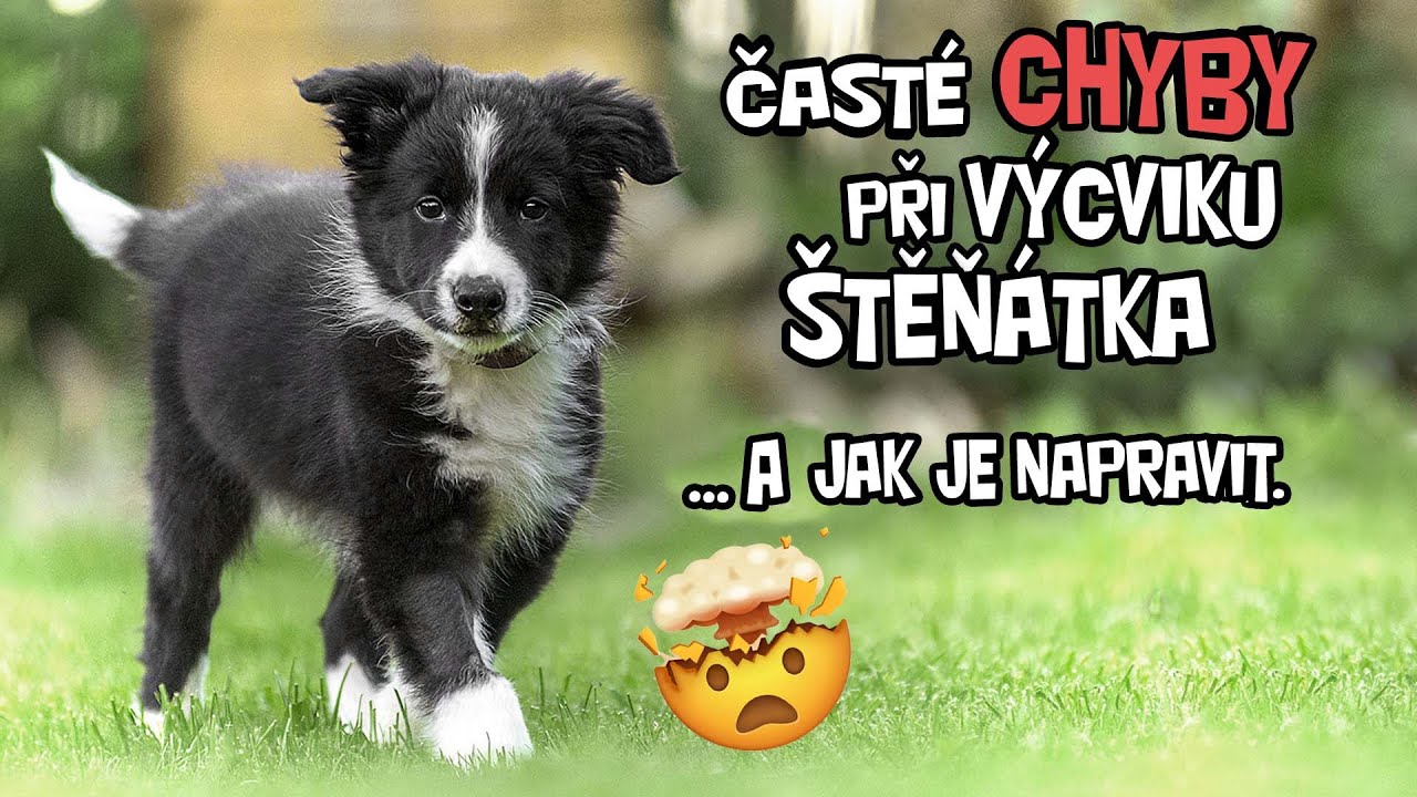 CHYBY, kter&eacute; děl&aacute;me při V&Yacute;CVIKU &Scaron;TĚŇ&Aacute;TKA a jak je napravit