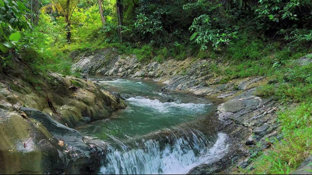 4K-HDR | Deep Night River Ambience for Sleeping and Healing | Peaceful Natural Flowing Water Sounds