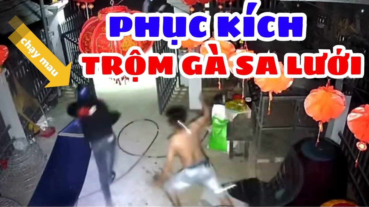 Trộm Gà Không Ngờ Bị Phục Kích Và Cái Kết Đáng Nhớ