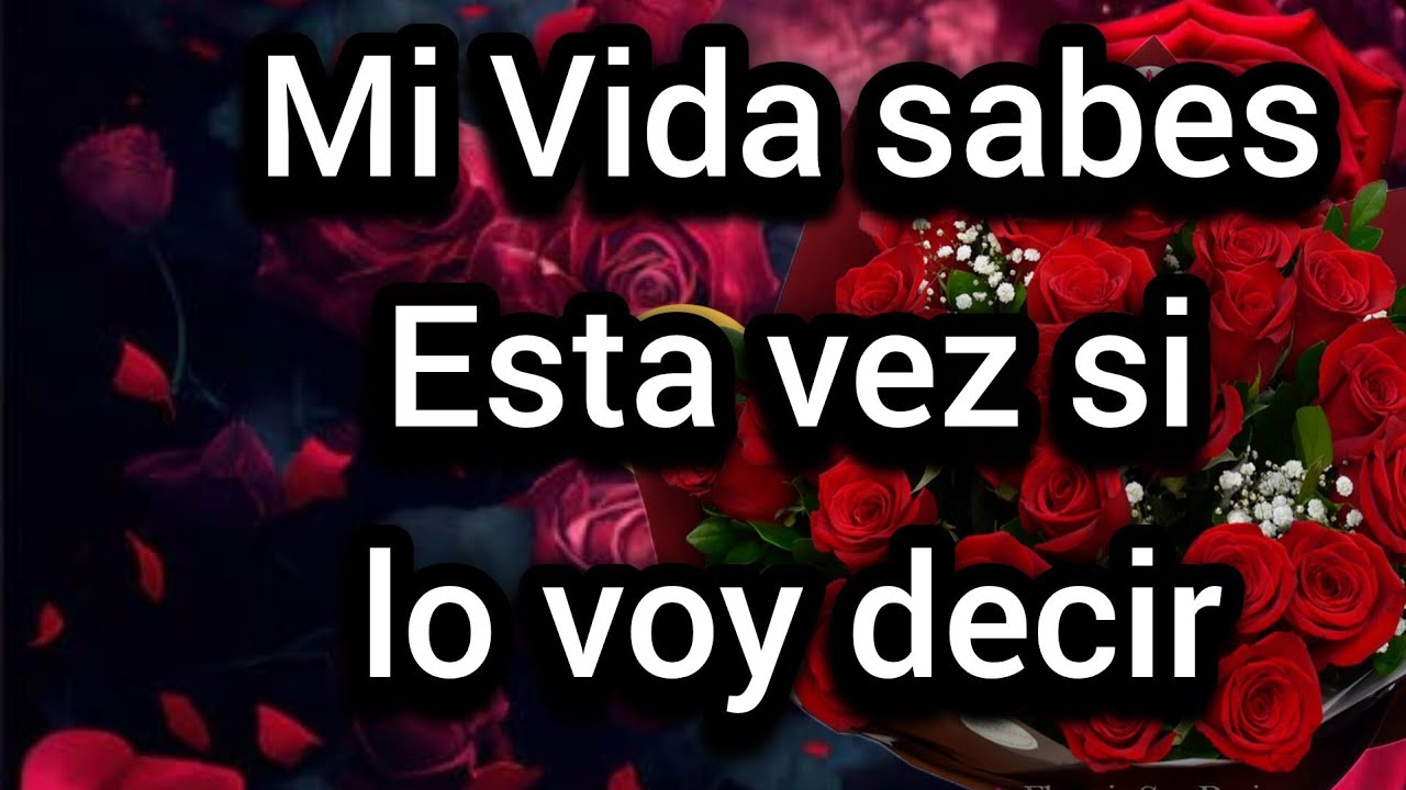 Mi Vida sabes Esta vez si lo voy decir sin miedo es algo que tenia que hacer hace mucho por fa Abre