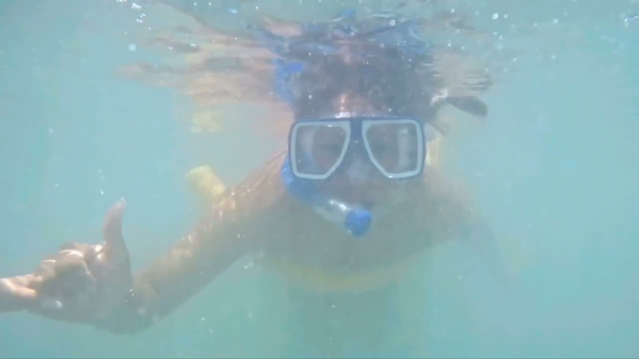 discovertourshawaiillc.com The only snorkeling tour in Waikiki