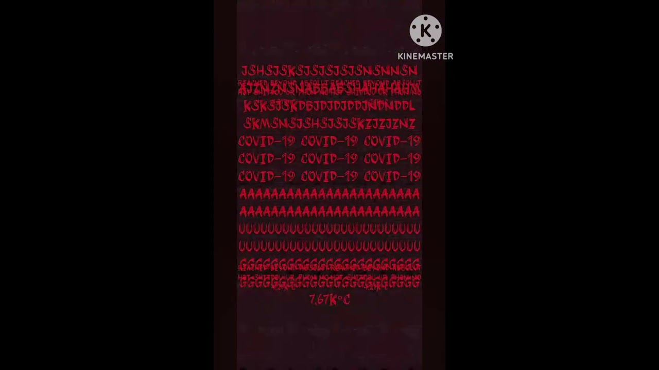 20263860