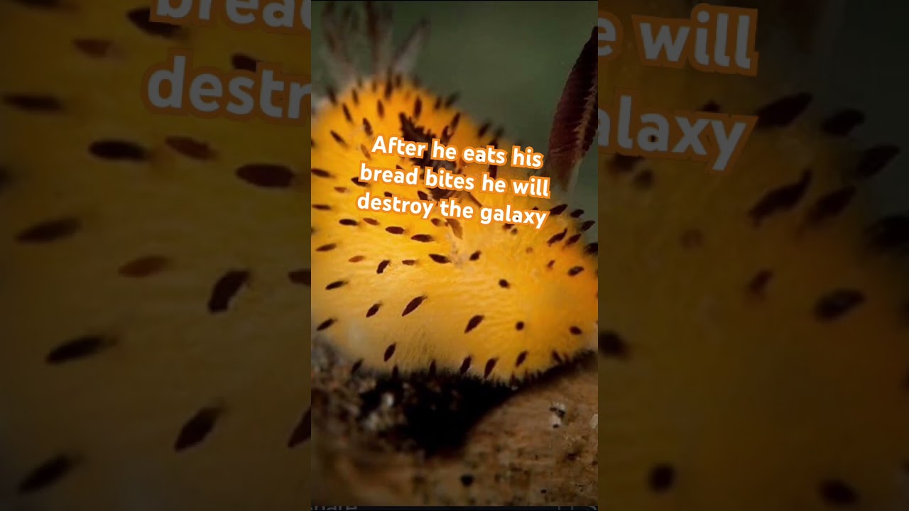 BREAD AND BUTTER!!!!