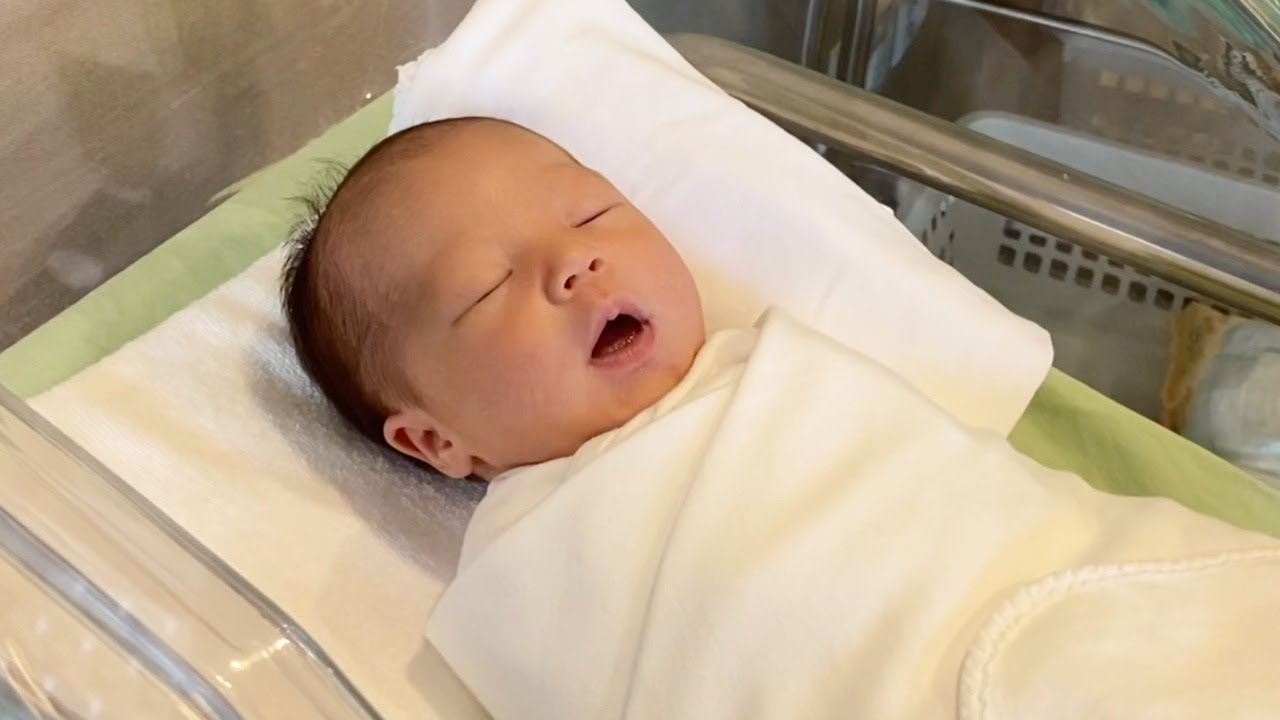Our Baby is Born....! | Jindo Dog Fam Vlog