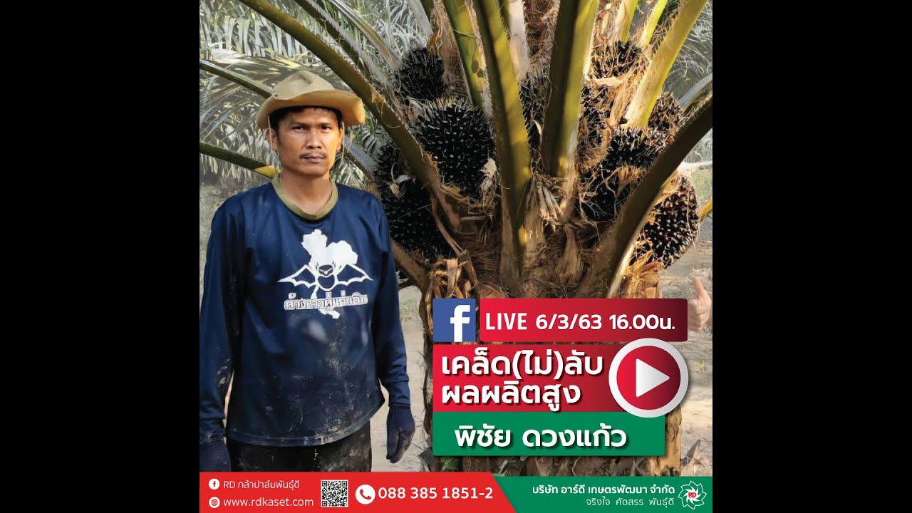 #Liveอาร์ดีพาทัวร์ ล้วงลึกเทคนิคผลผลิตสูง ถึงสวนของพี่พิชัย ดวงแก้ว