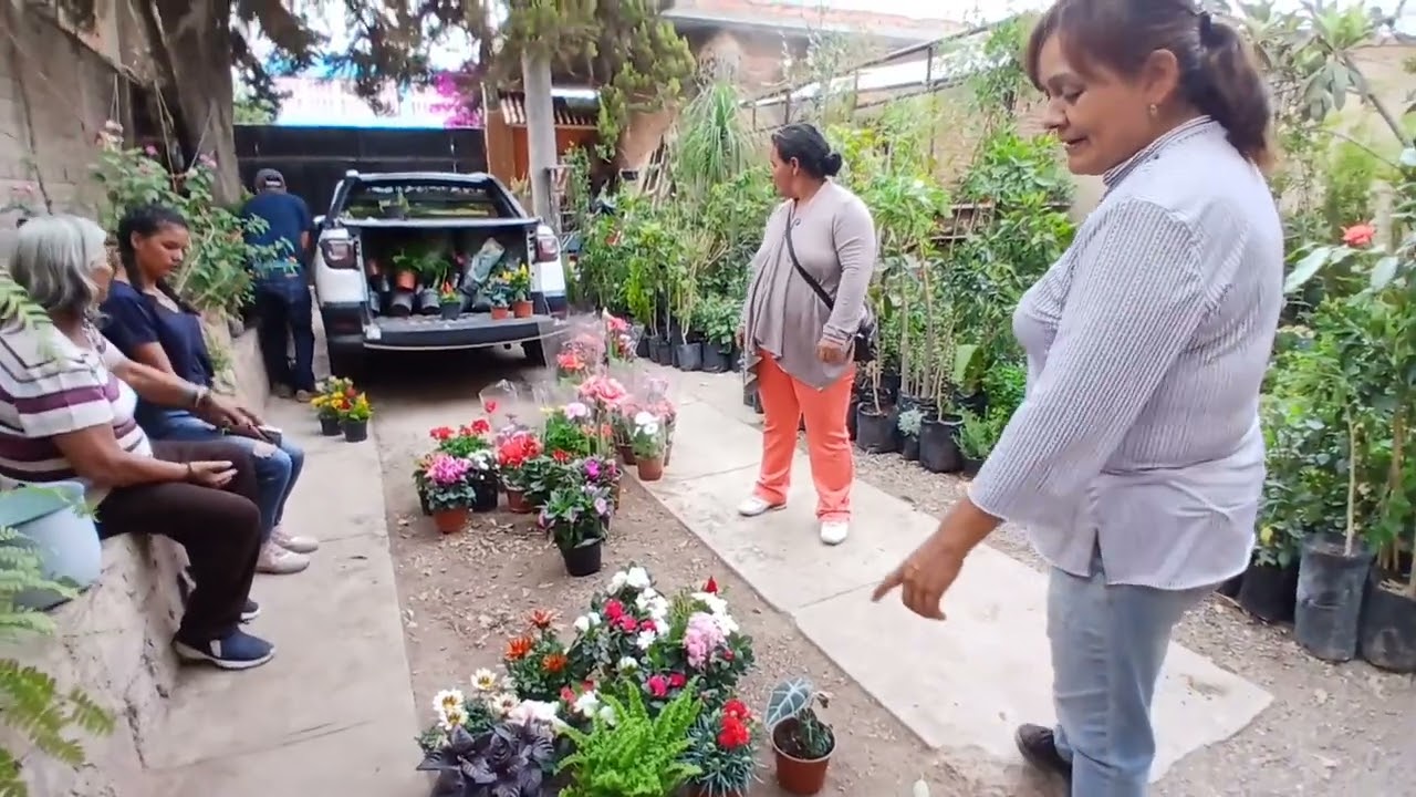 A quién andamos en un vivero ho
