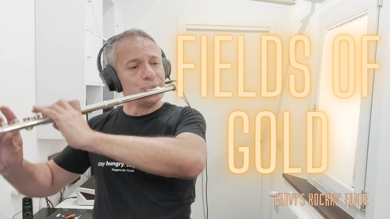 Fields of Gold (Sting) Live instrumental Flute Cover