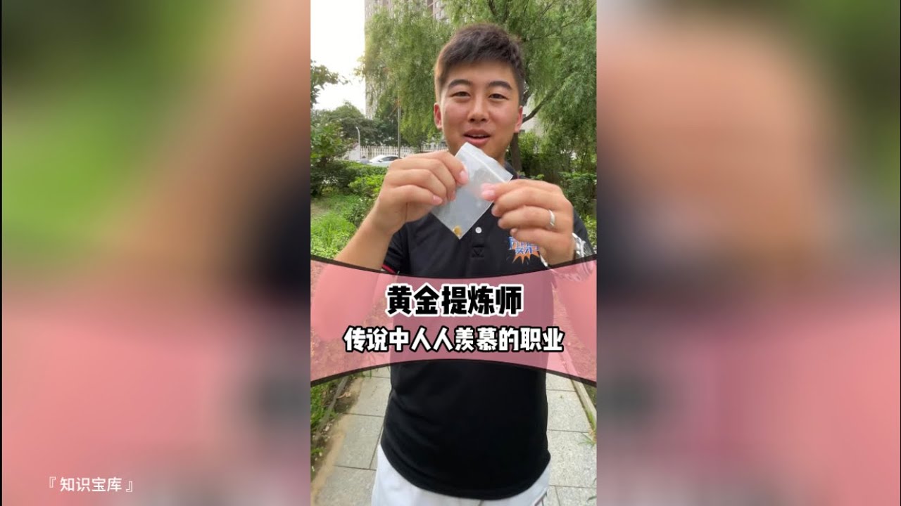 黄金提炼师的秘密策略揭秘  『 知识宝库 』