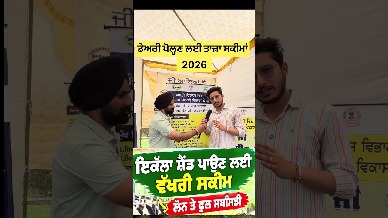 ਡੇਅਰੀ ਖੋਲ੍ਹਣ ਲਈ ਤਾਜ਼ਾ ਸਕੀਮਾਂ 2026, ਇਕੱਲਾ ਸ਼ੈੱਡ ਪਾਉਣ ਲਈ ਵੱਖਰੀ ਸਕੀਮ | Punjab Aala Podcast