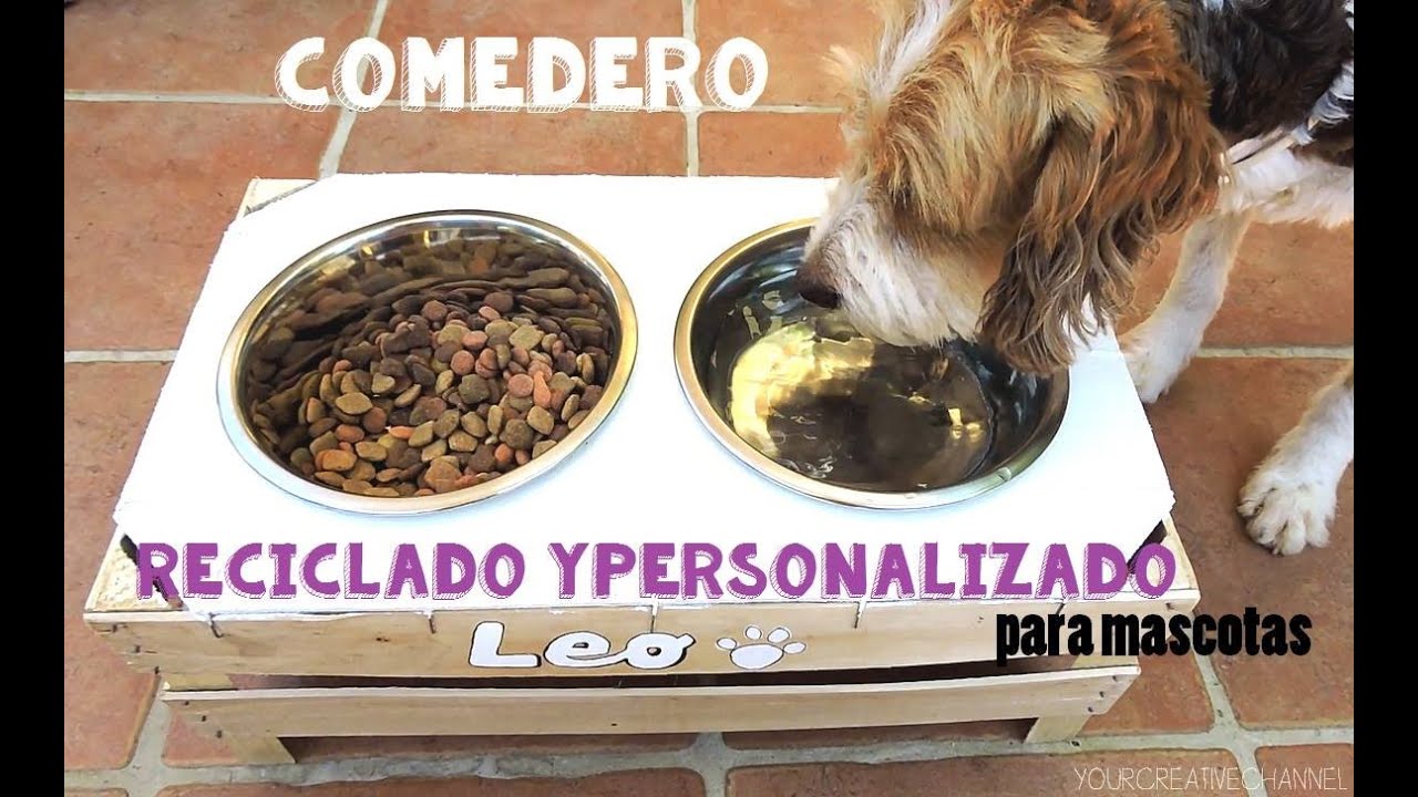 Comedero personalizado y reciclado para tu mascota