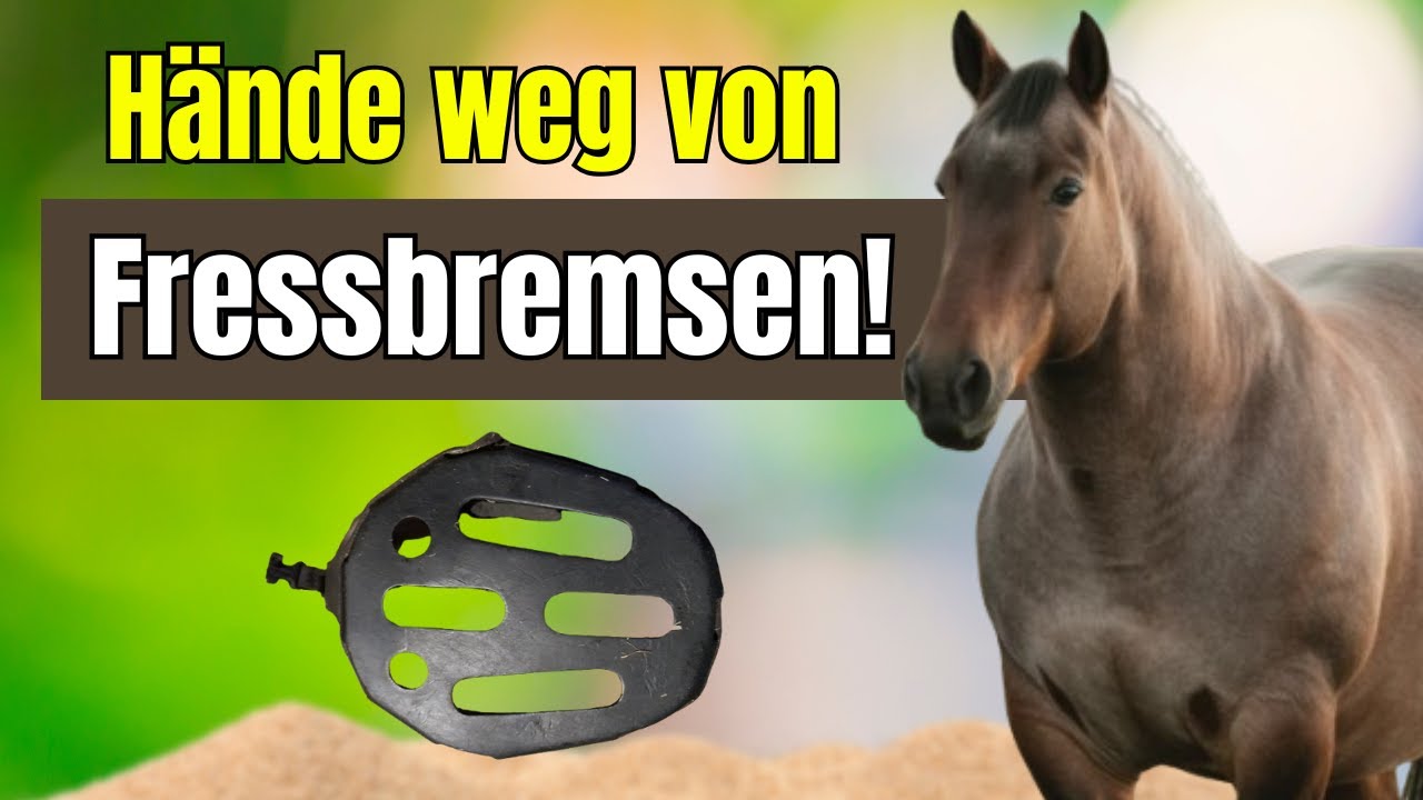 Die Alternative zu Fressbremsen die deinem Pferd nicht schadet!