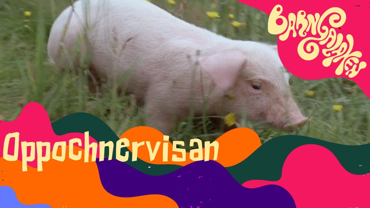Oppochnervisan - Emil i Lönneberga - Officiell musikvideo!