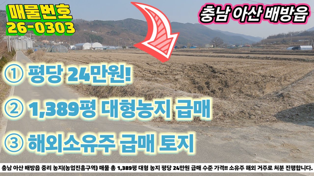 아산 배방 농지 1,389평 급매! 평당 24만원 대형 농지 매물→ 해외 거주 소유주 급매 토지 →  천안·아산 생활권 농지 1,389평 투자 기회
