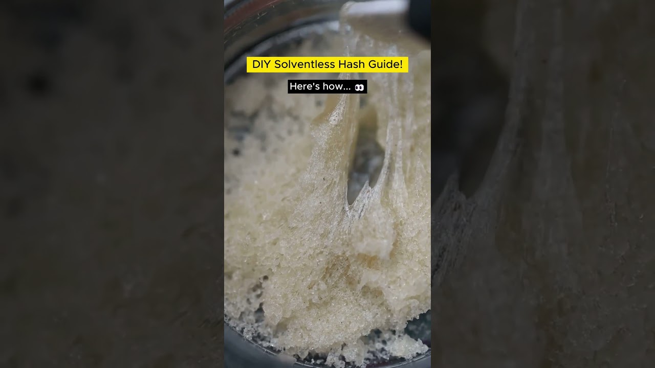 🌿 How to Make Hash🌿