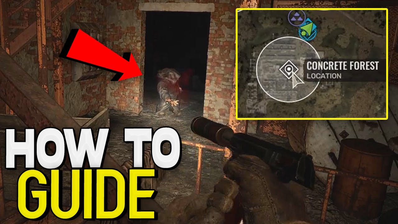 How to Defeat Both Burer Mutants at Concrete Forest Bunker Guide (Cement Factory) - Stalker 2