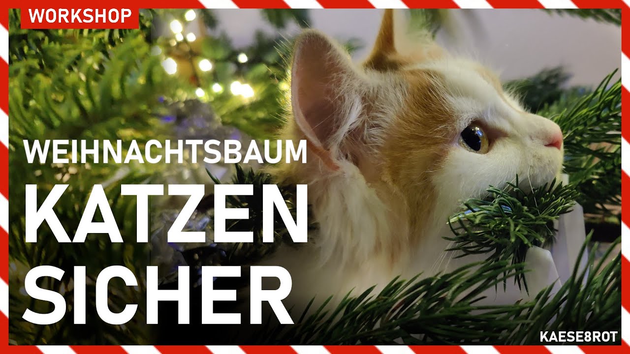 Weihnachtsbaum katzensicher machen