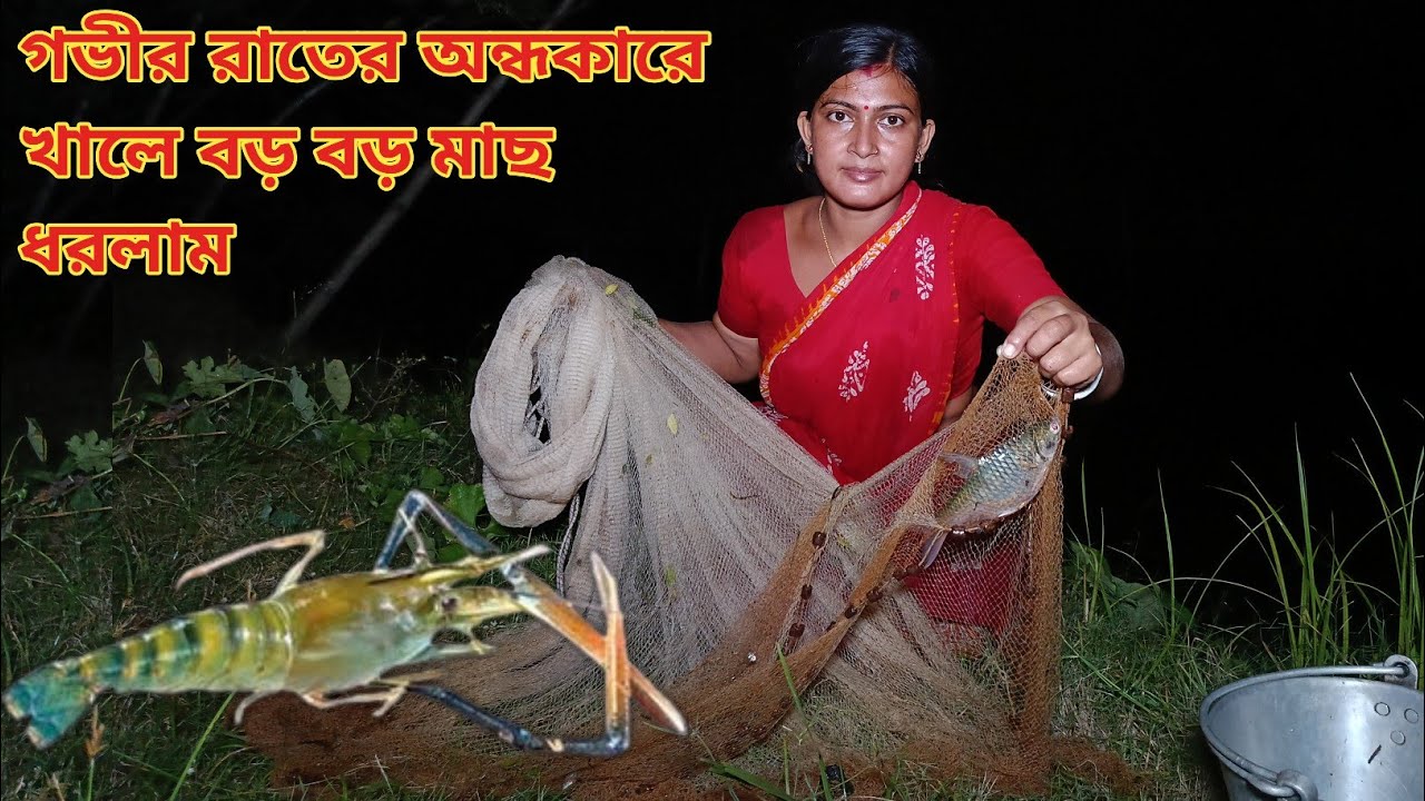 গভীর রাতের অন্ধকারে খালে জাল বেয়ে বড় বড় মাছ ধরলাম! Night fishing ll Nandita Sundarban life 