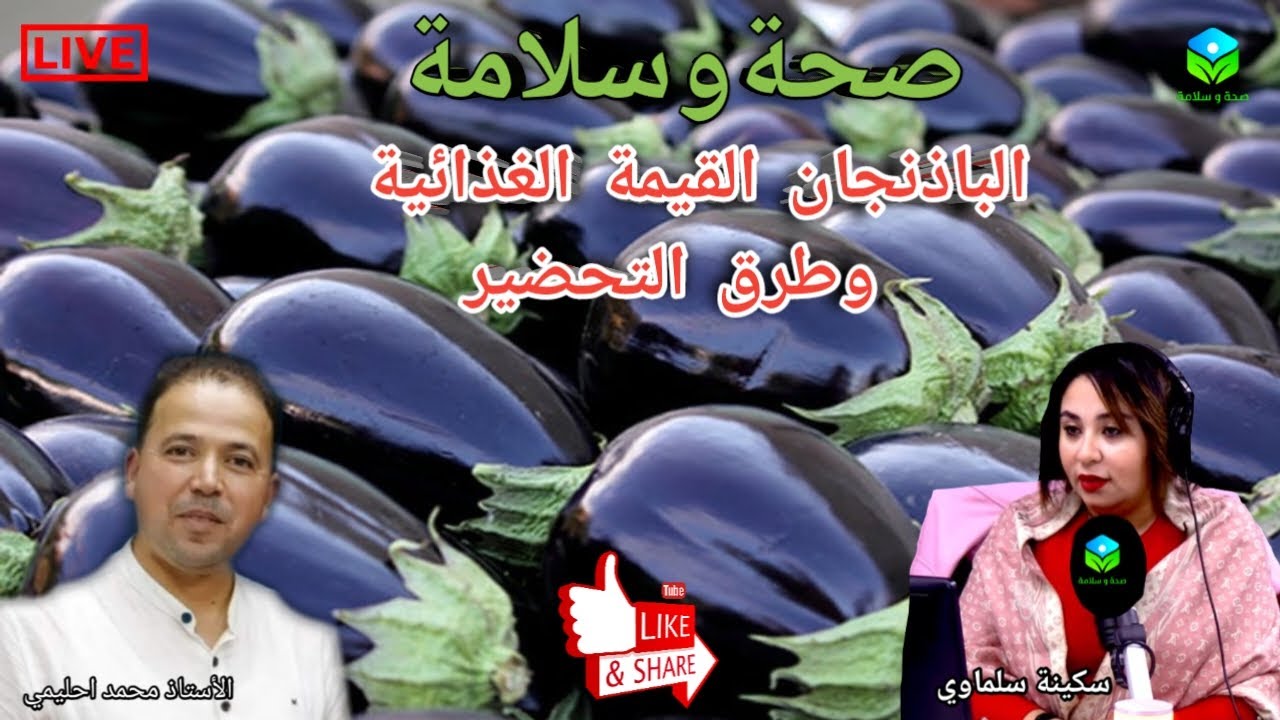 🔴 الباذنجان 🍆 القيمة الغذائية وطرق التحضير مع الأستاذ محمد احليمي اختصاصي التغذية الصحية