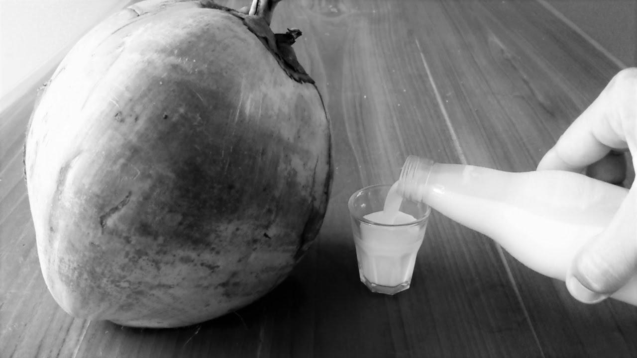 Liquore al Cocco