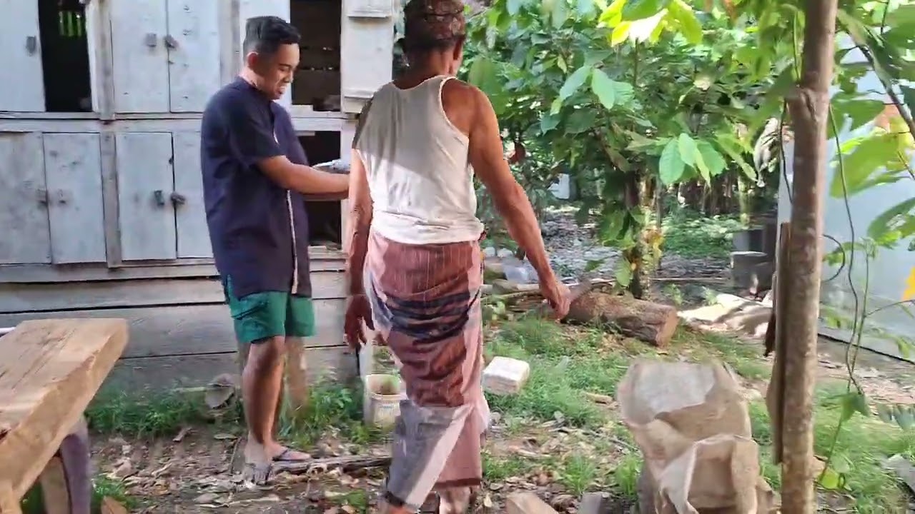 Sembelih ayam tete dengan papa sadam