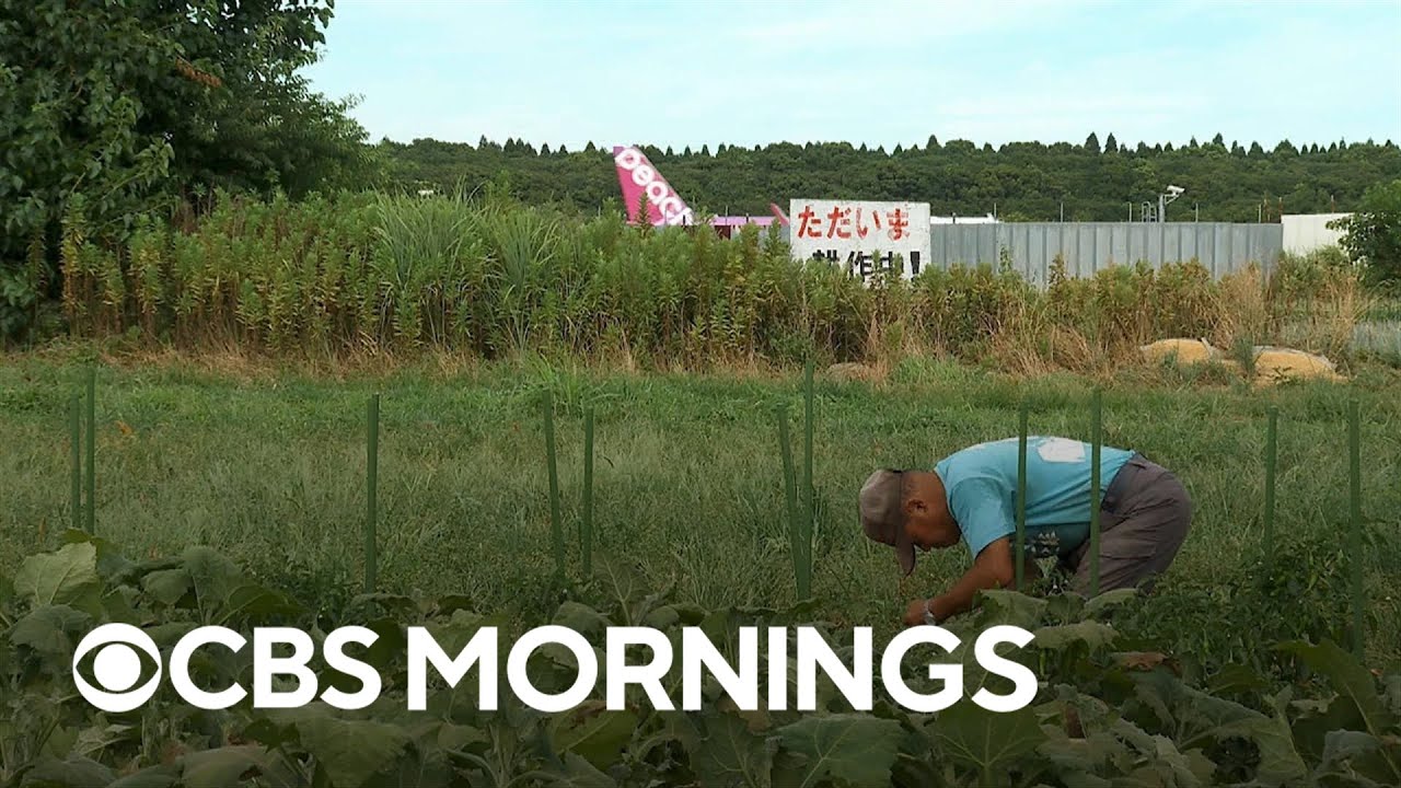 One Japanese farmer's 50-year protest continues to prevent airport expansion