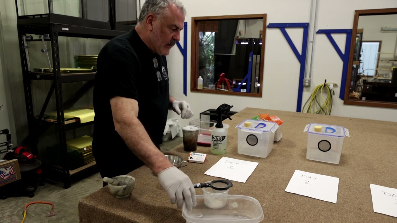 How to Treat Your Frogs for Parasites/Worms