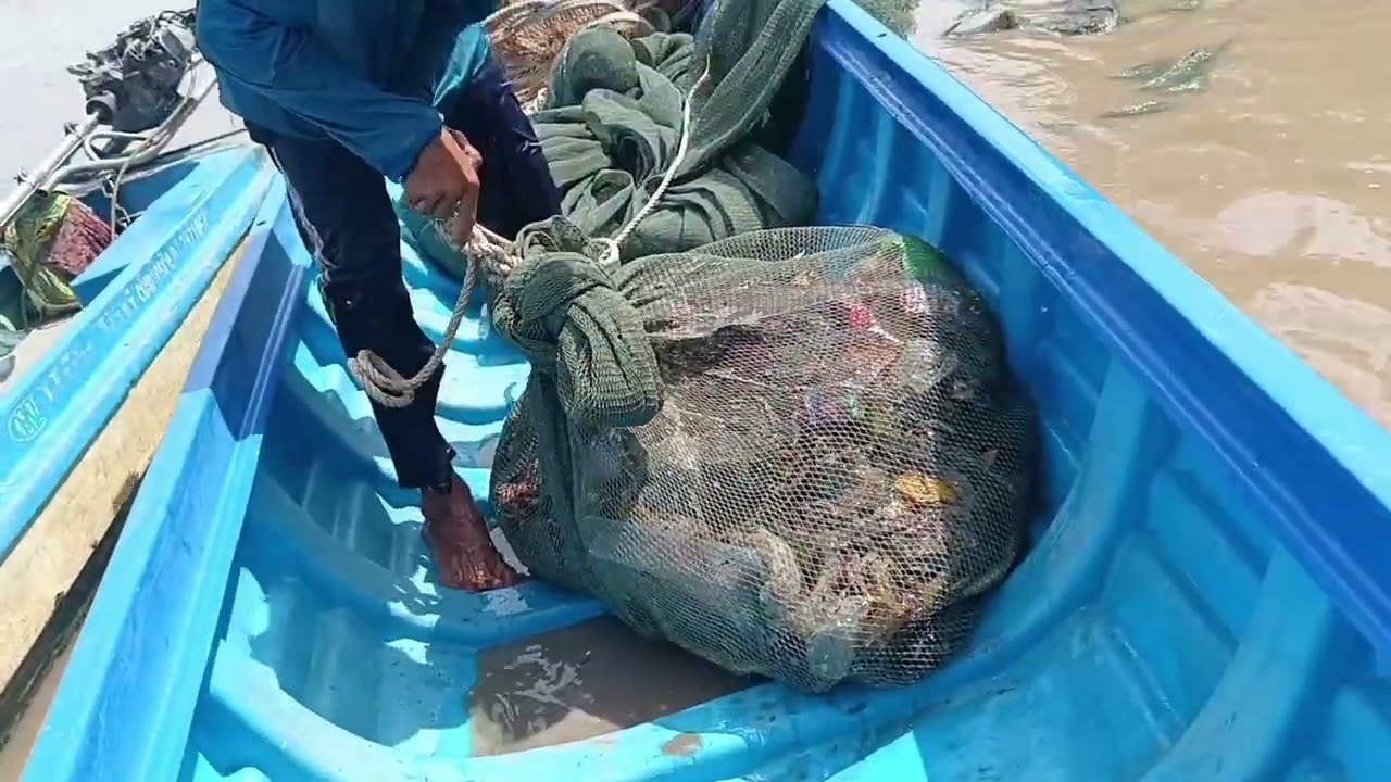 Nay cua nhỏ thả vuông không.