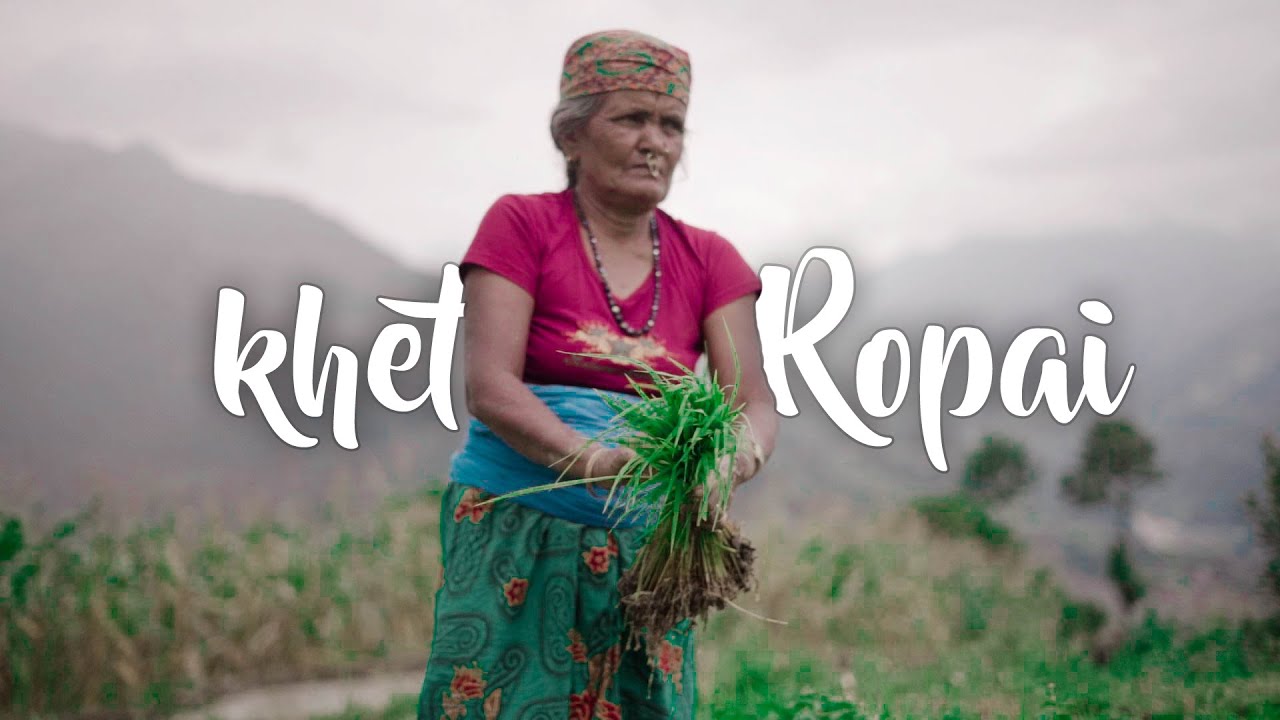 khet ropai - Baglung, Nepal