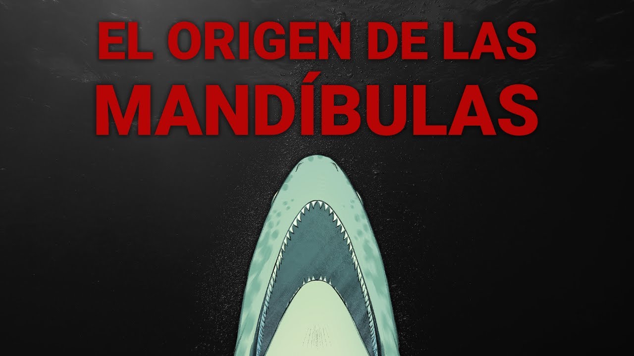 El primer pez con una mandíbula | Paleozoico #3