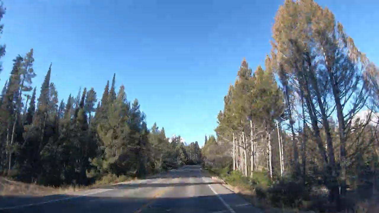 Short Drive In Grand Teton National Park