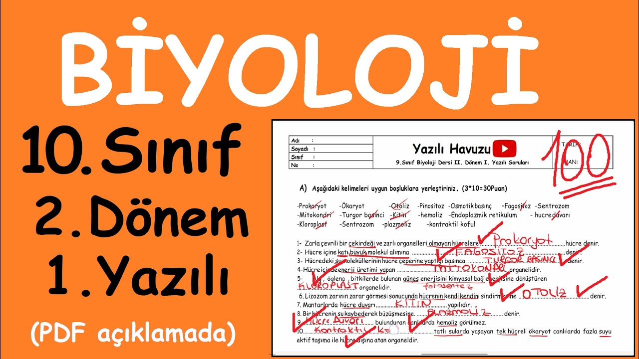 Biyoloji 10. Sınıf 2. Dönem 1. Yazılı Soruları  Yazılıya hazırlık (Yazılı PDF si açıklamada)