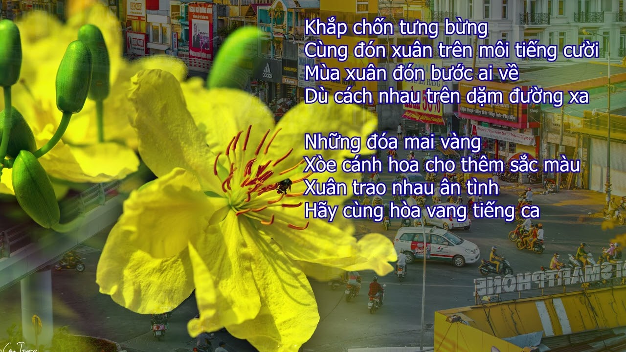 Hát Với Mùa Xuân - Sáng tác: Nguyễn Trường - Remastered by AI