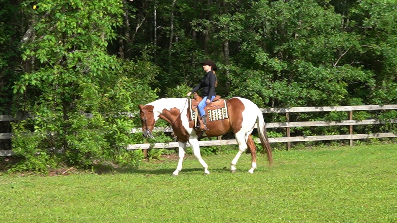 Sharon Welsh & Artie Western Pleasure W/T