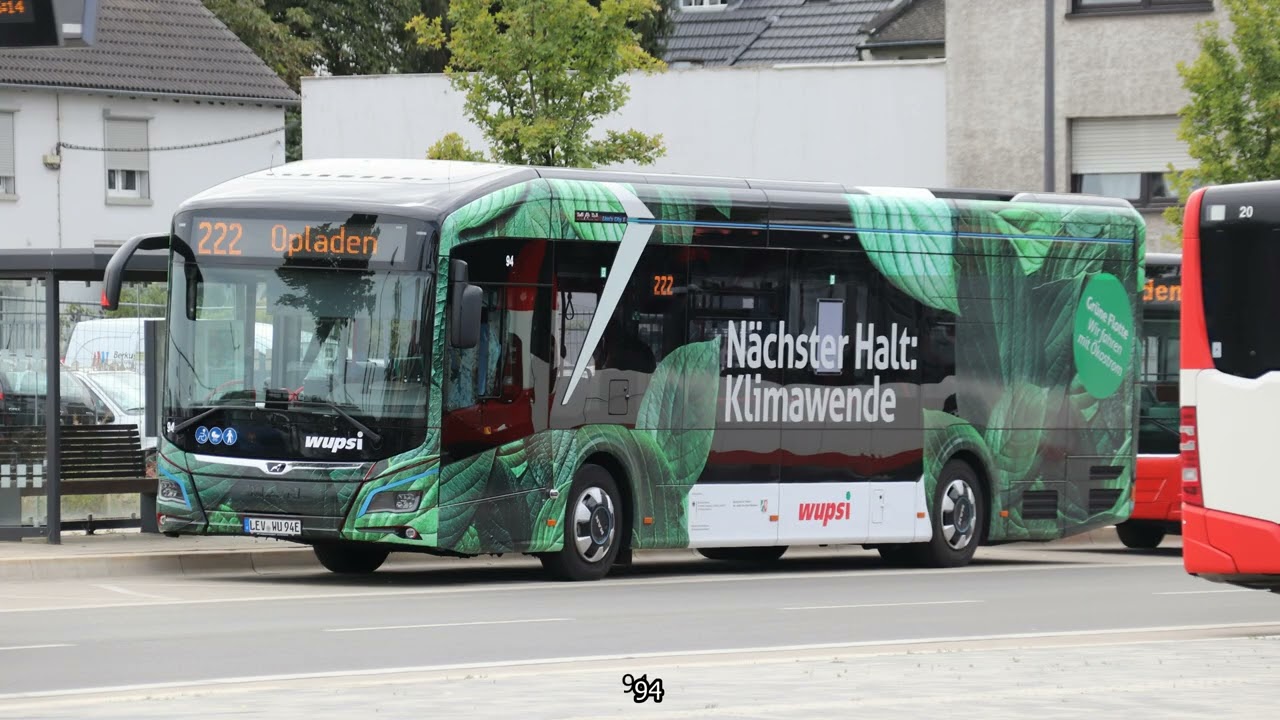 Opladen (Leverkusen) (Bus; Wupsi (not articulated)) (20220728) (Slide show)