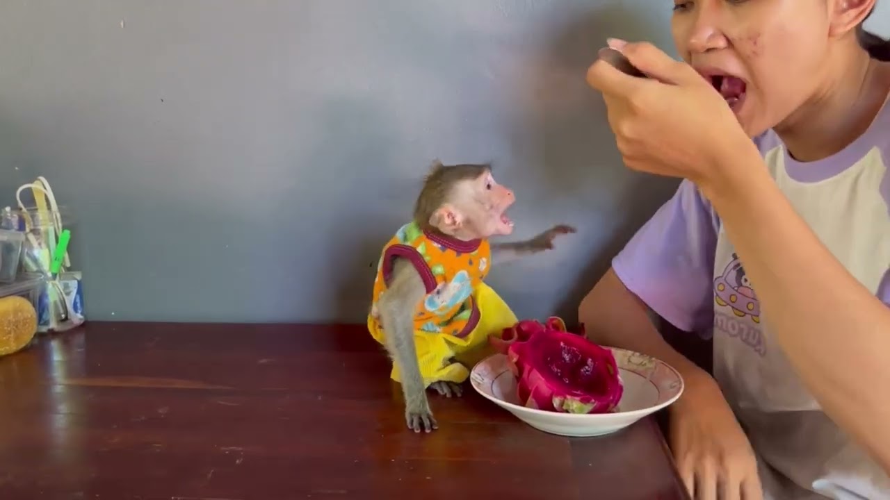 No mom..!! Koy open big mouth c..yii loud because mom eat her fruit 