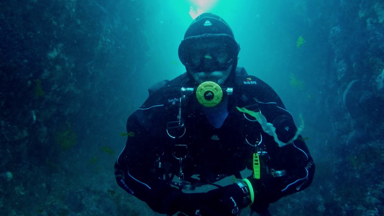 Scuba Diving Mermaids Kitchen | Wellington, NZ | GoPro Hero 5