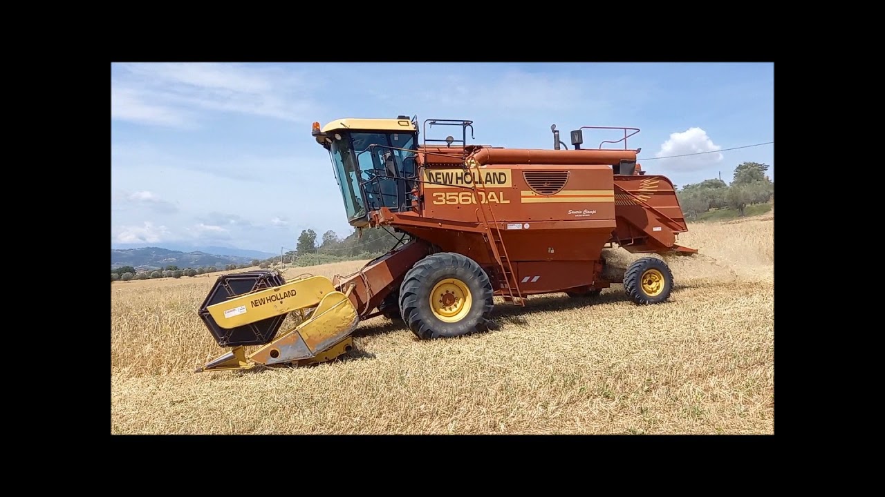 Trebbiatura 2021 con NEW HOLLAND 3560 AL
