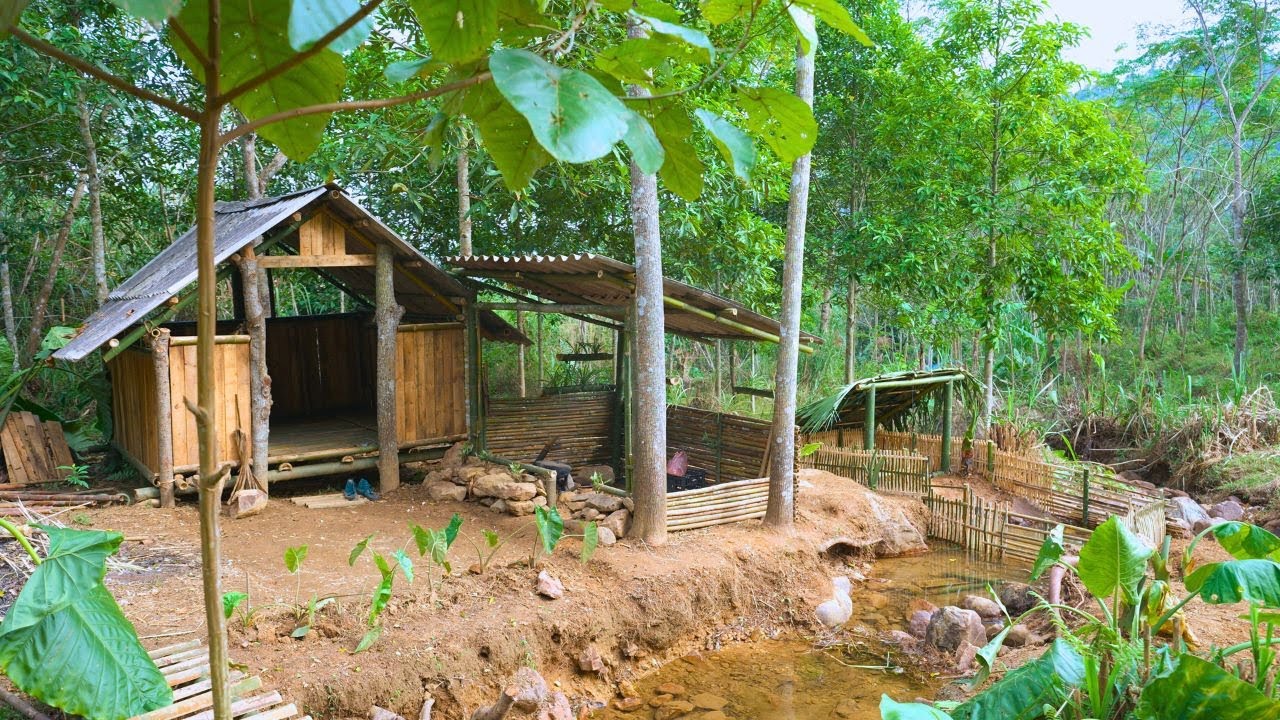 FULL VIDEO: Six months Alone in the Jungle – From Nothing to survival