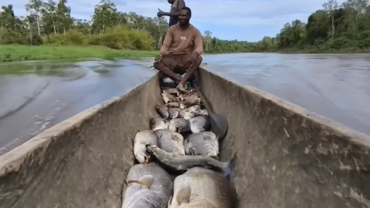 Ловля баррамунди в Южном Папуа - Индонезия🇮🇩