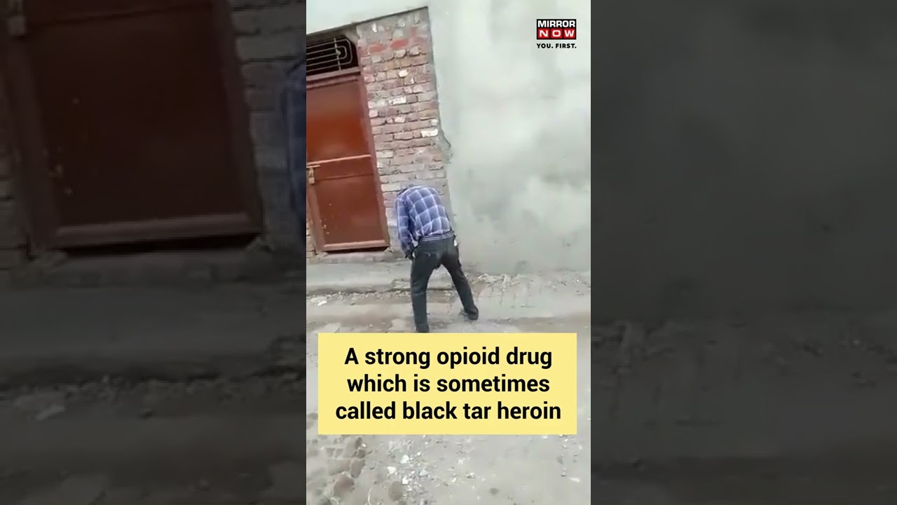 Drug Abuse in Amritsar | Video of Man Under Influence of Drugs Goes Viral| Punjab Drug Abuse #shorts
