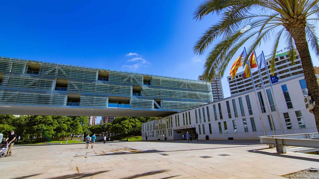 Pleno Extraordinario nº 19/2025