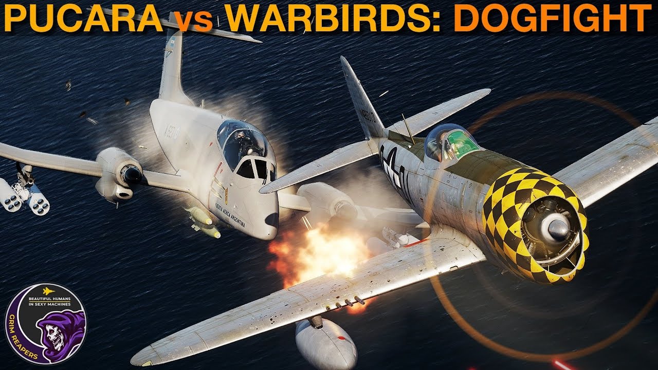 IA-58 Pucara vs Warbirds | Which Is Best Dogfighter? | DCS WORLD