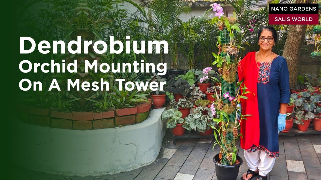 Orchid Tower making