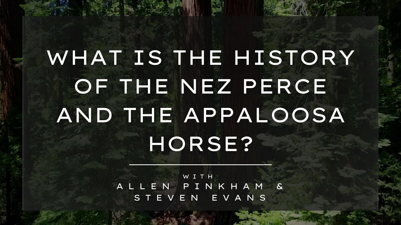What is the history and relationship between the Nez Perce and the Appaloosa Horse?