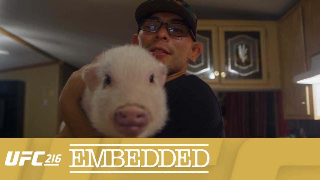 UFC 216 Embedded: Vlog Series - Episode 2