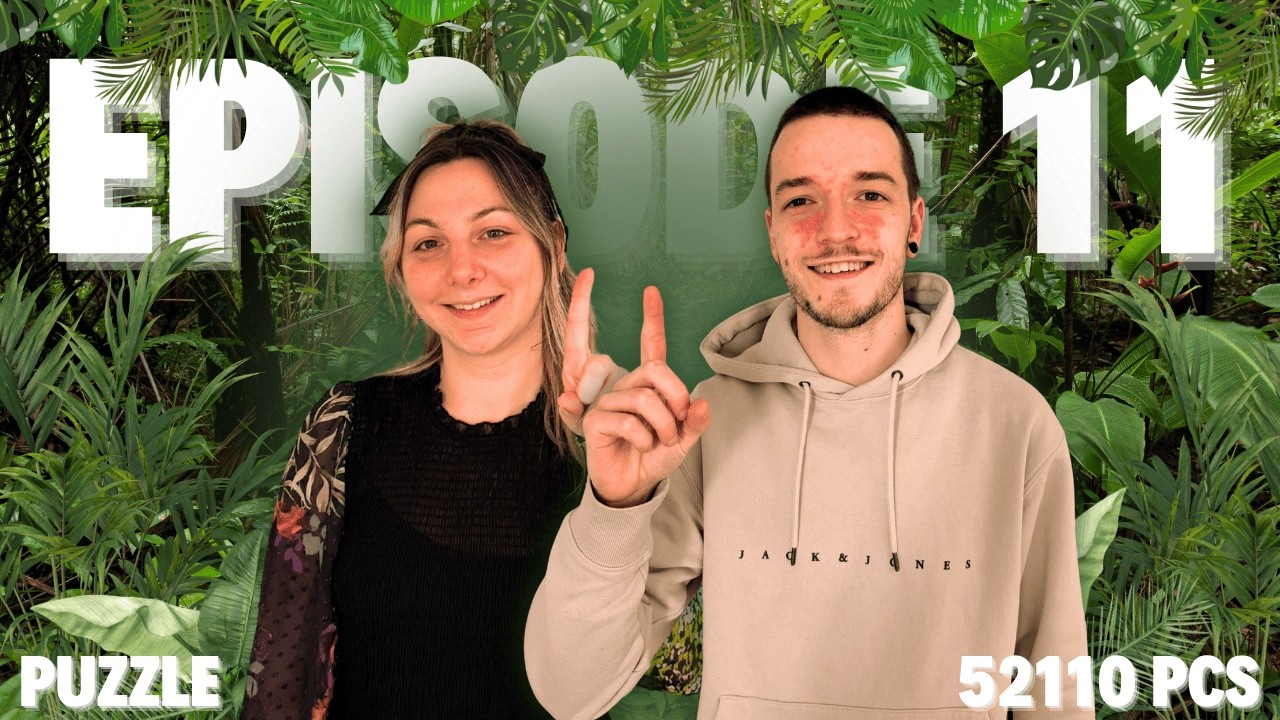 ON COMMENCE LA PARTIE 6 DE 4000 PIÈCES DE NOTRE PUZZLE 52110 PIÈCES 🐨🐆