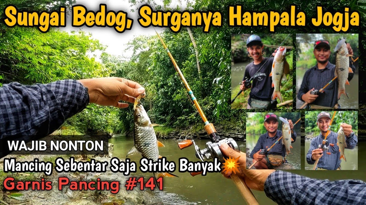 Spotnya Indah Sekali Dan Ikanya Banyak | Casting Hampala Sungai Bedog Jogjakarta |Garnis Pancing 141